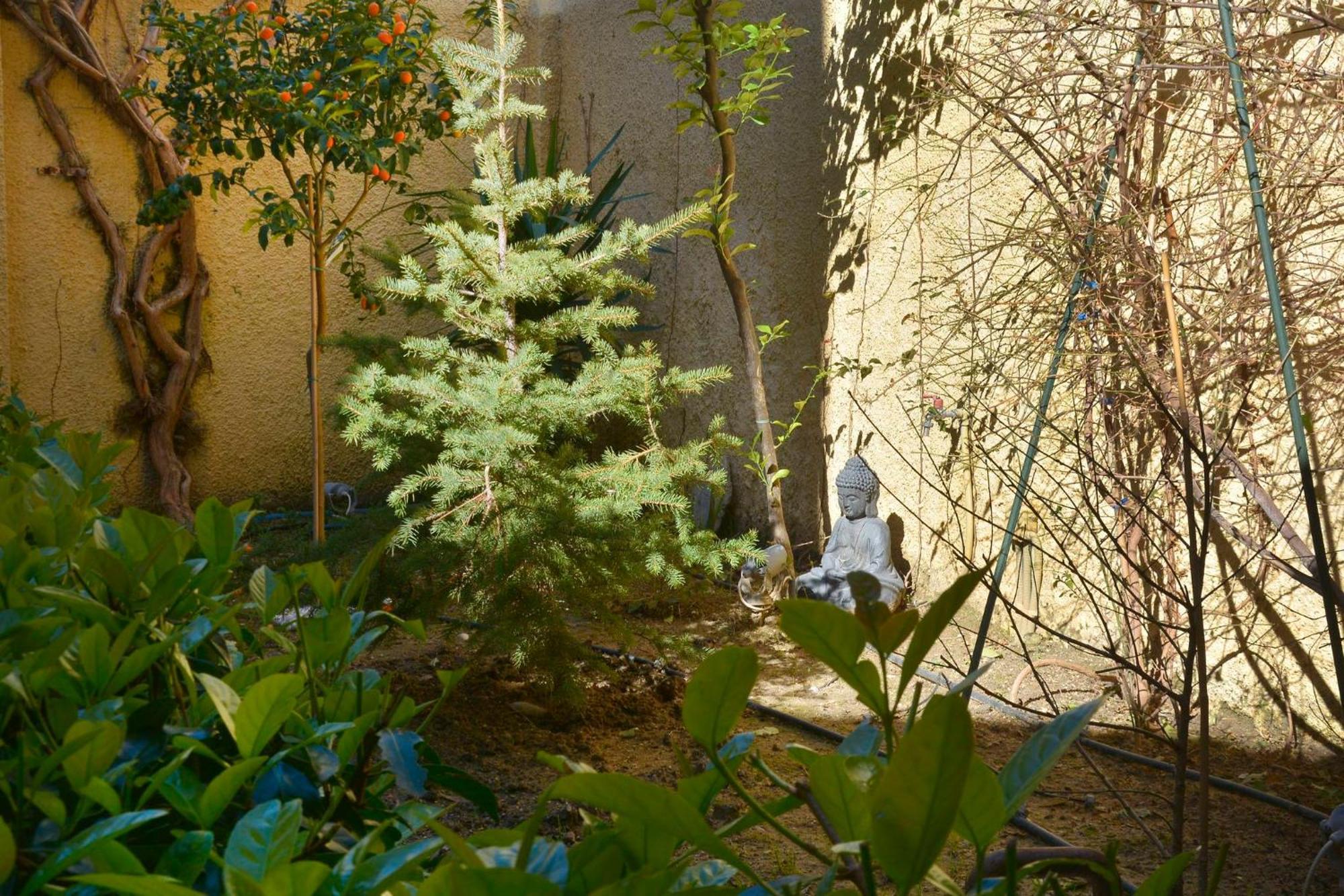 Τhe Hidden Garden Apartment Corfu  Exterior foto