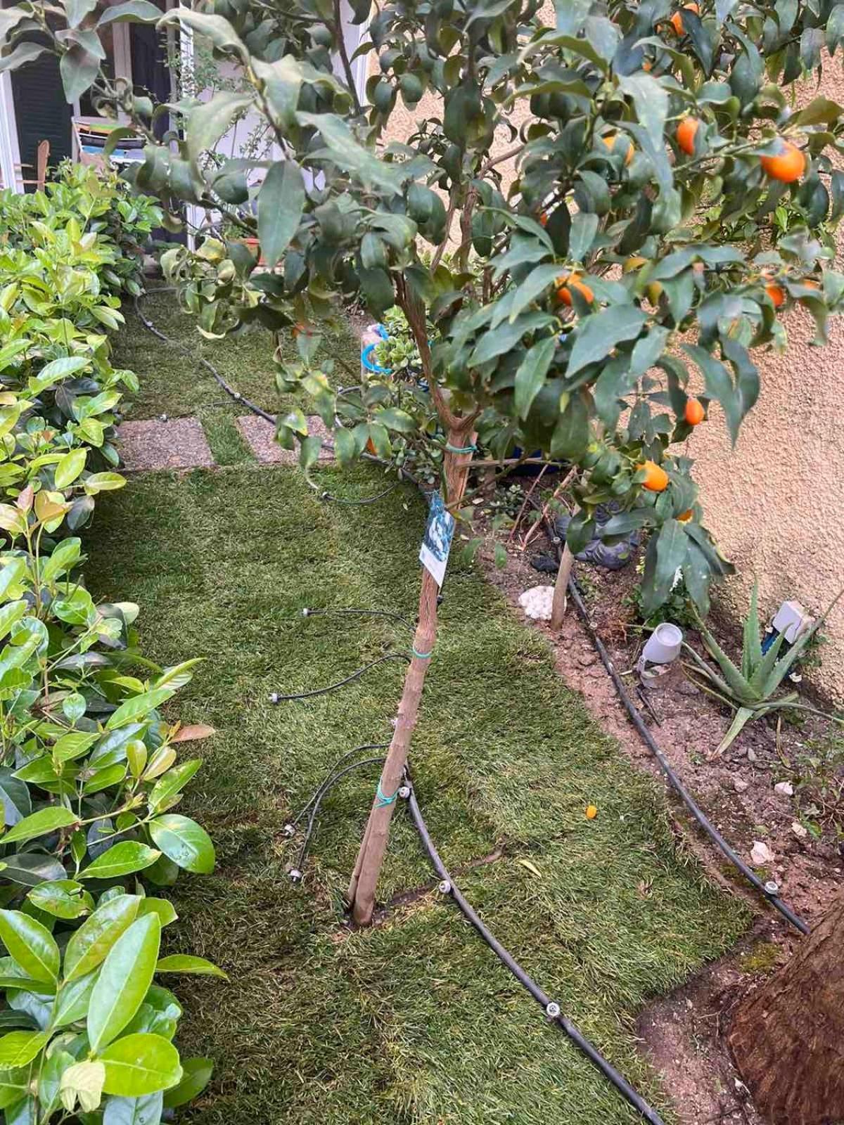 Τhe Hidden Garden Apartment Corfu  Exterior foto