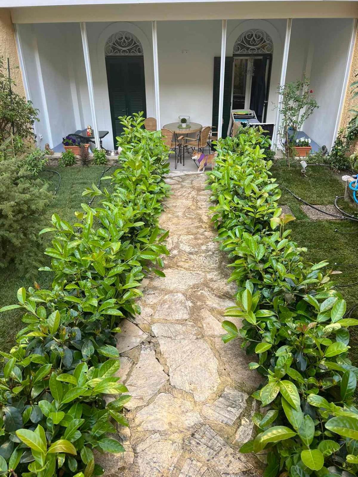 Τhe Hidden Garden Apartment Corfu  Exterior foto